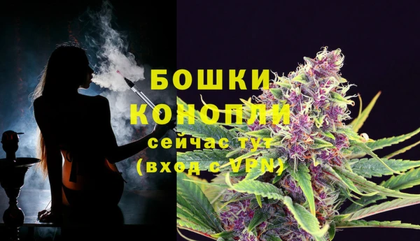 дурь Магас