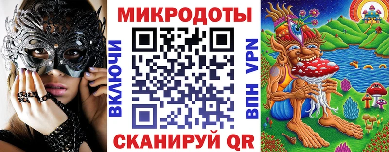 где купить   Каргат  Галлюциногенные грибы Psilocybe 